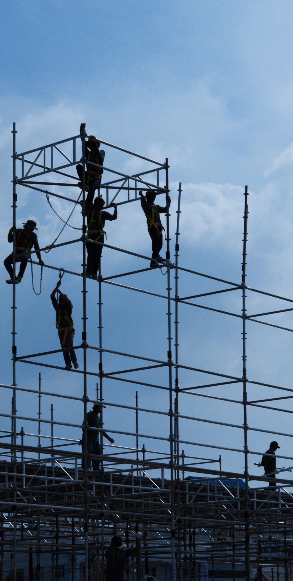 Das Bild zeigt, wie mehrere Arbeiter ein Gerüst errichten
